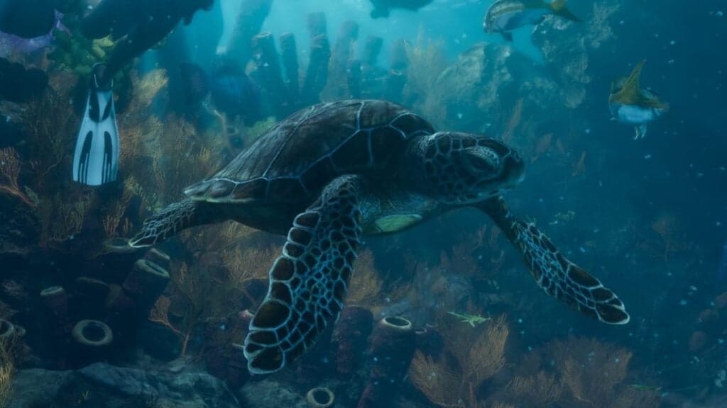 A sea turtle swimming over a coral reef with reef fish and a diver's flipper in GTA VI