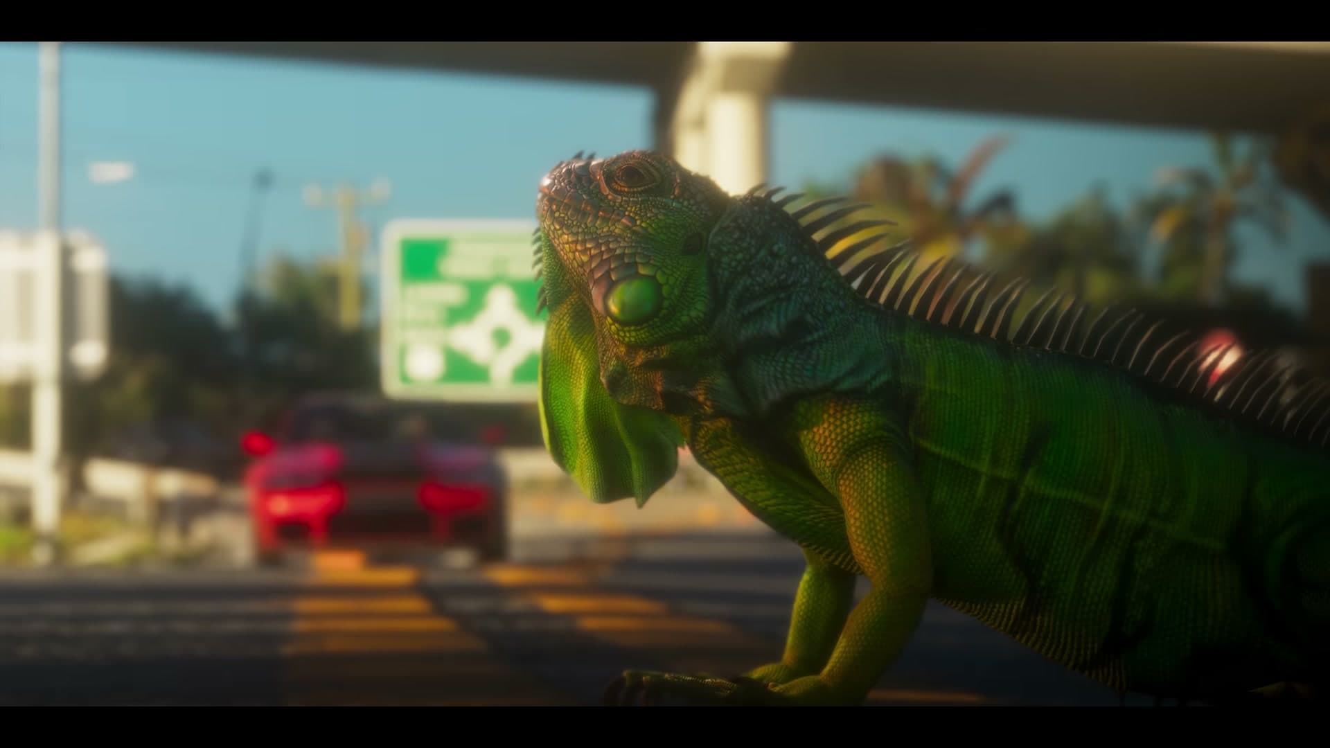 A large green iguana in close-up crossing a road in the GTA VI Launch Trailer